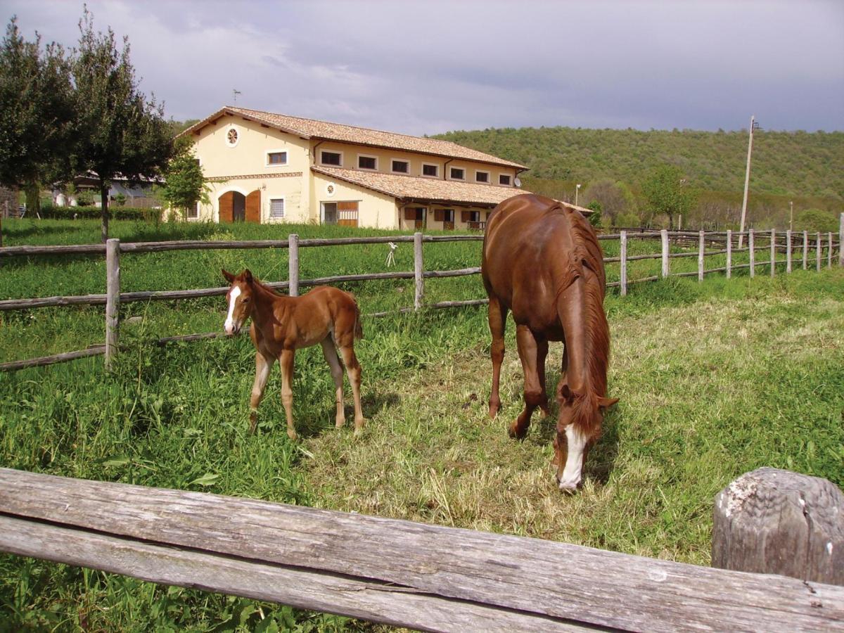 Agriturismo Potrero Grande Sul Lago Di Martignano Con Spiaggia Campagnano Di Roma Kültér fotó