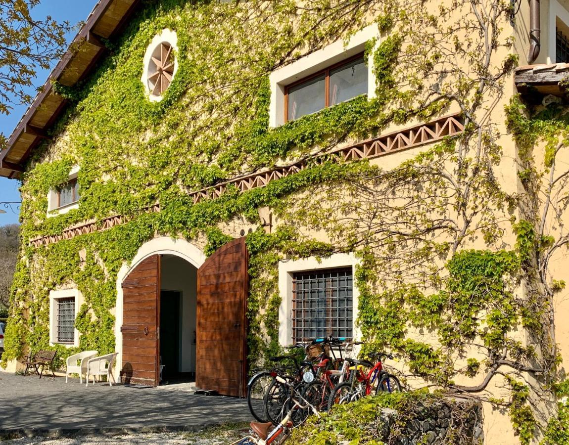 Agriturismo Potrero Grande Sul Lago Di Martignano Con Spiaggia Campagnano Di Roma Kültér fotó