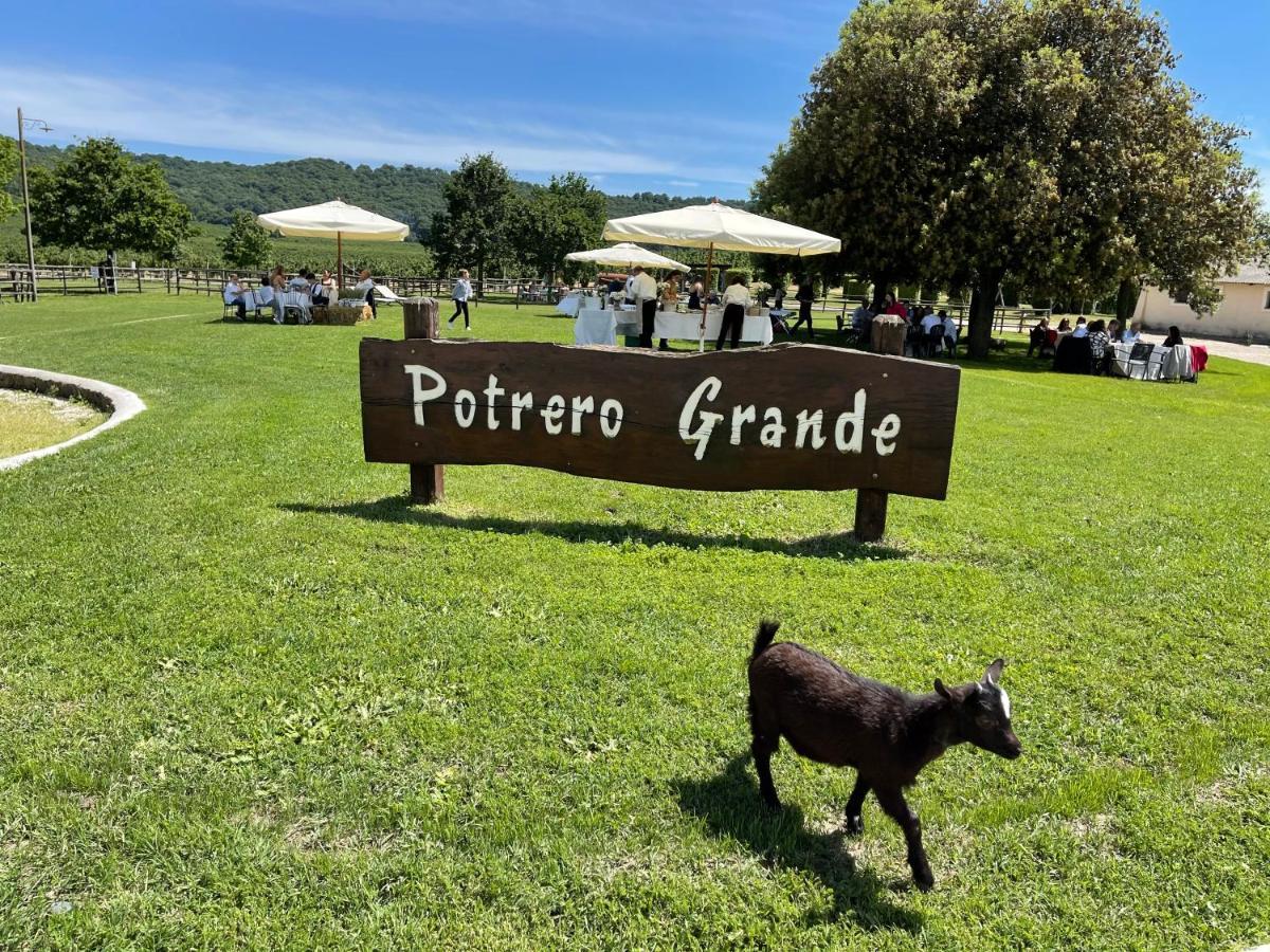 Agriturismo Potrero Grande Sul Lago Di Martignano Con Spiaggia Campagnano Di Roma Kültér fotó