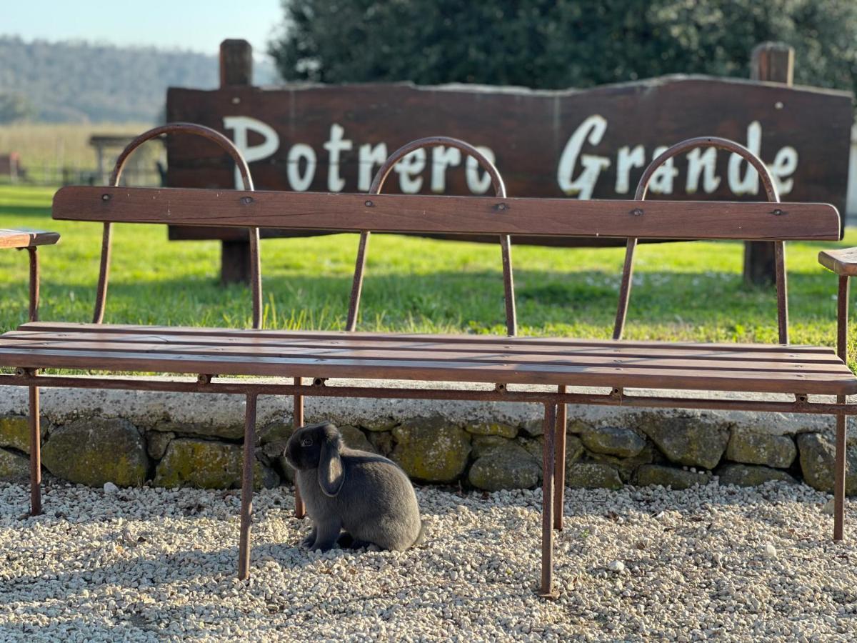 Agriturismo Potrero Grande Sul Lago Di Martignano Con Spiaggia Campagnano Di Roma Kültér fotó