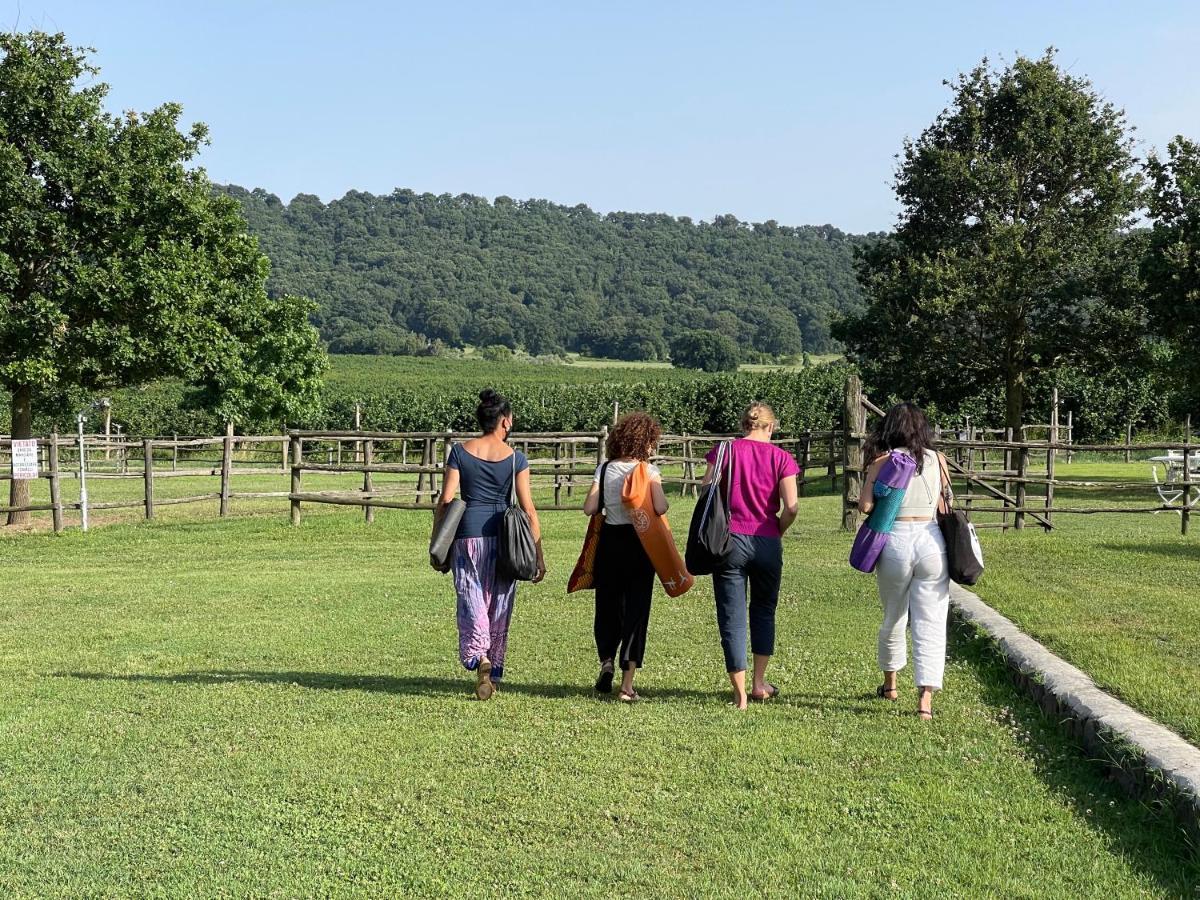 Agriturismo Potrero Grande Sul Lago Di Martignano Con Spiaggia Campagnano Di Roma Kültér fotó
