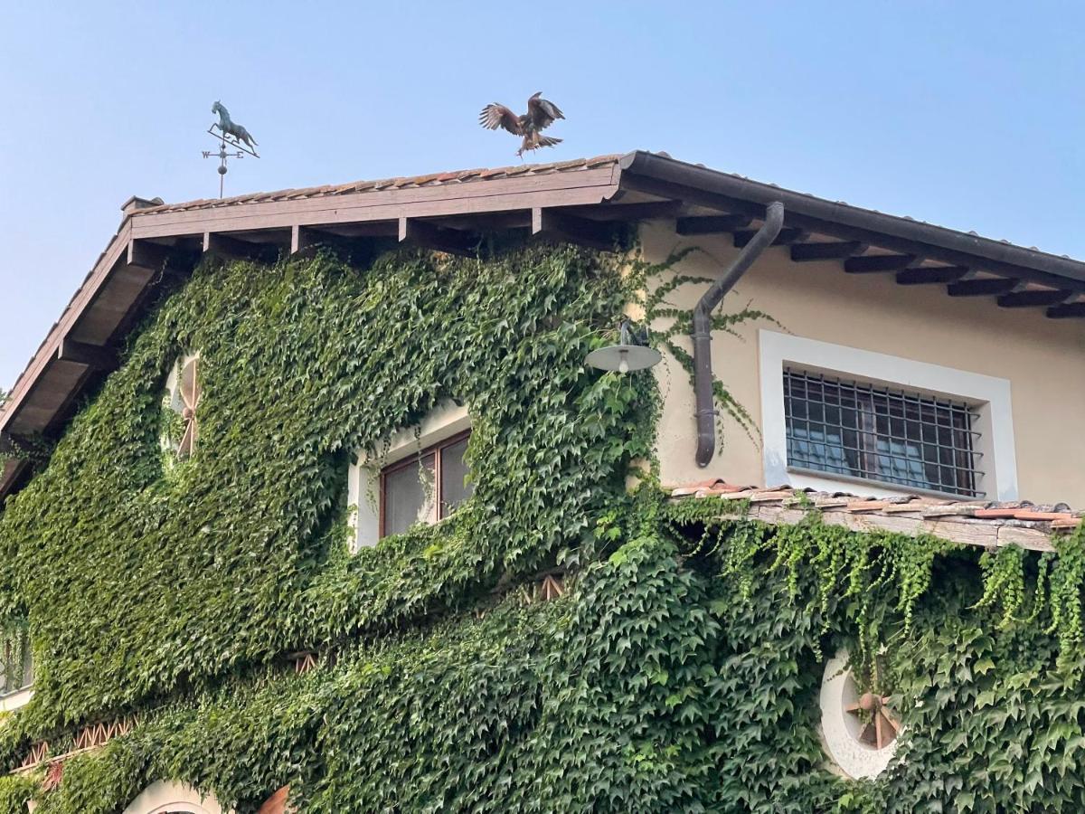Agriturismo Potrero Grande Sul Lago Di Martignano Con Spiaggia Campagnano Di Roma Kültér fotó
